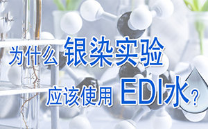 為什么銀染實驗要用EDI水？
