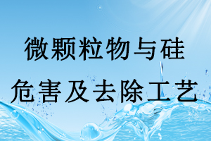 半導體行業生產用水中的微顆粒物與硅的危害及